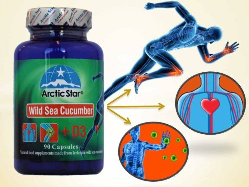 Arctic Star - Sea Cucumber with Vitamin D3 Capsules - Image 3